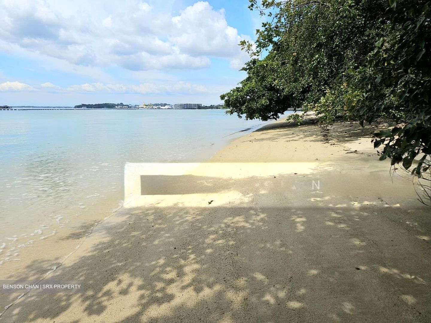Pasir Ris Beach Park (D18), Semi-Detached #508906841